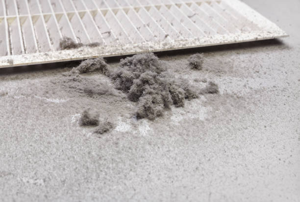 Best Dryer Vent Cleaning Services  in Central Heights Midland City, AZ